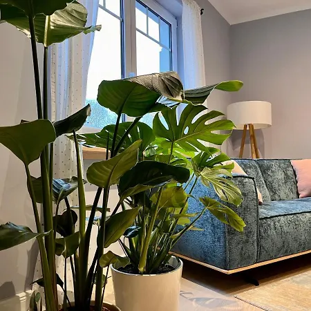 Kleinstadtidyll Plau Am * Plau am See